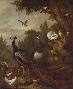 Peacock, peahen, parrots, canary, and other birds in a park by Jacob Bogdani