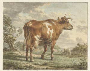 Red Pied Cow in a Landscape by Jacob  Cats