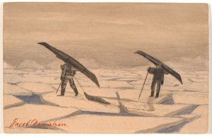 Seal Hunting