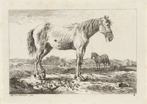 Standing Horse in a Landscape (Six Prints after Drawings by Various Masters) by Jacob Elias van Varelen