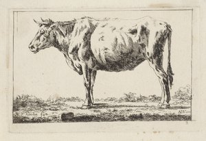 Standing Ox, Facing Left