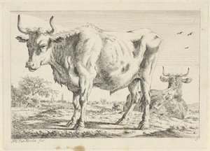 Standing and Lying Ox Six Prints after Drawings by Various Masters (series title) by Jacob Elias van Varelen