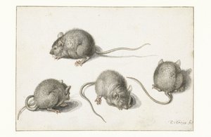 Four Studies of a Diseased Mouse by Jacob II de Gheyn