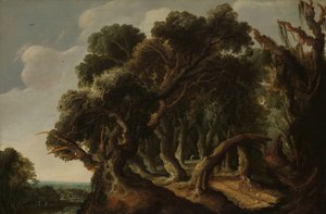 Wooded Landscape