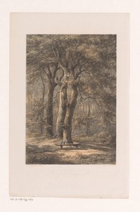 Jacoba Arbor