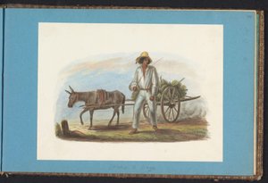 Man with Cart of Bananas (series title: Album with Drawings of Suriname, p.44 (50)) by Jacob Marius Adriaan Martini van Geffen