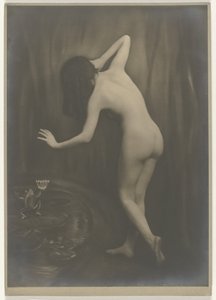 Standing Female Nude by a (Drawn) Spring with Prince-Frog