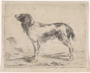 Standing Dog