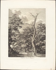 Entrance into the Woods of Marino by Jacob Wilhelm Mechau