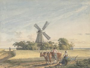 Landscape