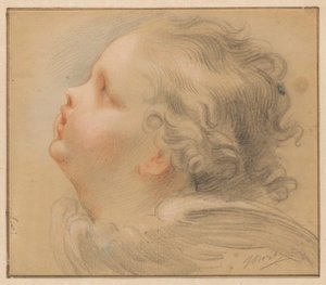 Head of a Cherub, Facing Left by Jacob de Wit
