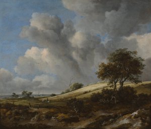 A Cornfield with the Zuiderzee in the Background, c. 1660
