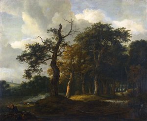 A Road Through an Oak Wood