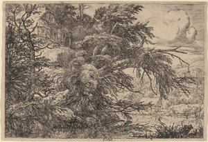 Cottage on a Hill by Jacob van Ruisdael