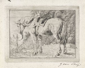 Saddled Horse Tied to a Post