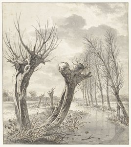 Winter Landscape with Pollard Willows along a Frozen Ditch