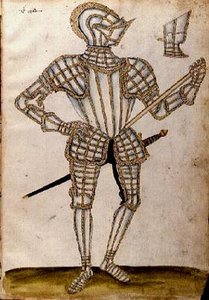 Suit of Armour for Mr Sfionner