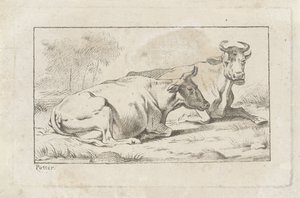 Two Lying Cows by Jacobus Buys