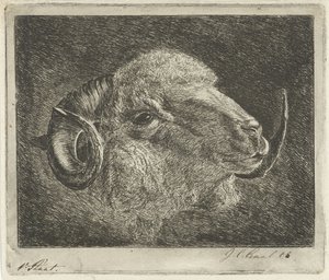 Head of a Ram with Backward Curved Horns by Jacobus Cornelis Gaal (signed by artist)