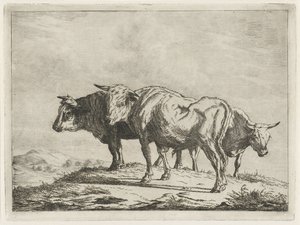 Three Oxen