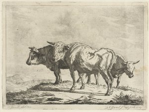 Three Oxen