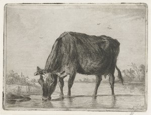 Drinking Cow by Jacobus Cornelis Gaal