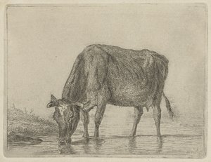 Drinking Cow by Jacobus Cornelis Gaal