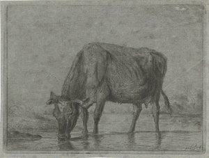 Cow Drinking from a Puddle by Jacobus Cornelis Gaal