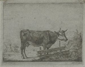 Cow Standing by a Fence by Jacobus Cornelis Gaal