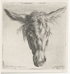 Head of a Donkey by Jacobus Cornelis Gaal