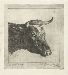 Head of a Cow with Rope around the Horns by Jacobus Cornelis Gaal