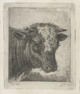 Head of a Cow with White Mark by Jacobus Cornelis Gaal