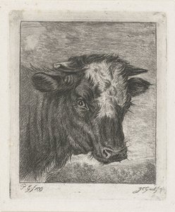 Head of a Cow with White Blaze by Jacobus Cornelis Gaal