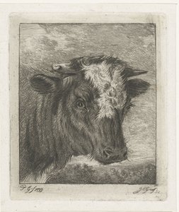 Head of a Cow with White Spot by Jacobus Cornelis Gaal