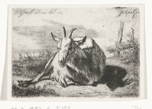 Lying Goat, Facing Left by Jacobus Cornelis Gaal