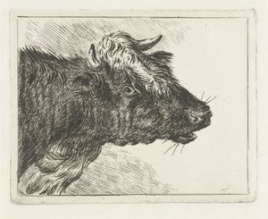 Bellowing Ox by Jacobus Cornelis Gaal