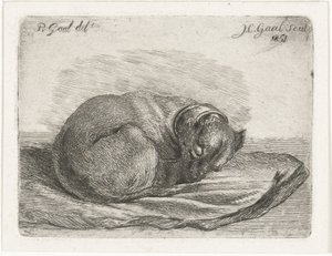 Sleeping Dog Lying on a Blanket