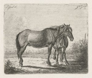 Two Horses