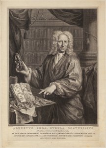 Portrait of Albert Seba, Pharmacist and Famous Naturalist Collector by Jacobus Houbraken
