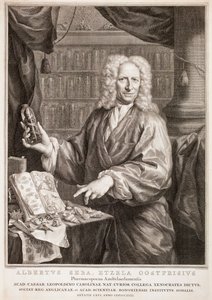 Portrait of Albertus Seba, after Jan Maurits Quinkhard by Jacobus Houbraken