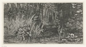 Forest Brook