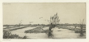 Peat Bog