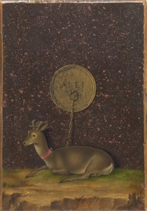 Portrait of Alvise Contarini; (verso) A Tethered Roebuck by Jacometto Veneziano