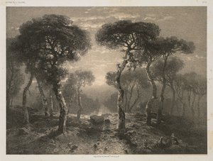 Works of A. Calame, No. 13: Forest of Sierre in Valais