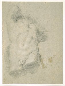 Drawing of a Male Torso
