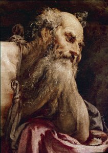 Saint Jerome in Meditation by Jacopo Bassano
