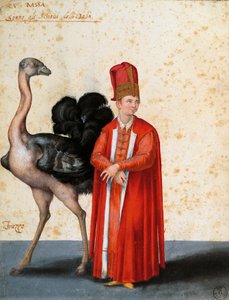 Slave with Ostrich, Drawing by Jacopo Ligozzi