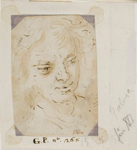 Head of a Man by Jacopo Palma il Giovane