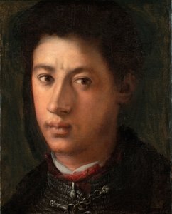 Portrait of Alessandro de Medici by Jacopo Pontormo
