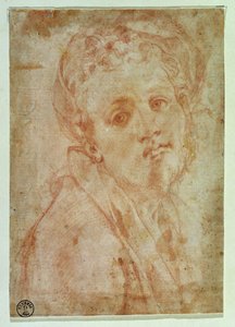 Self Portrait by Jacopo Pontormo